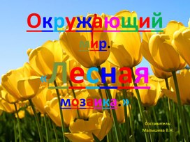 Обложка для материала Презентация по окружающему миру. Тема: "Лесная мозаика".