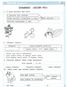 Обложка для материала тест по информатике для  4 кл