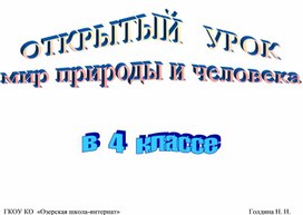 Технологическая карта урока по предмету Мир природы и человека в 4 классе в школе 8 вида по теме "Насекомые"