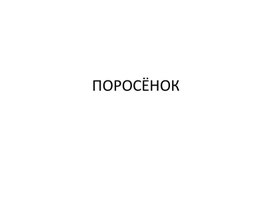 Обложка для материала поросенок технология