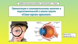 Обложка для материала Презентация "Глаз - орган зрения" Подготовительная к школе группа