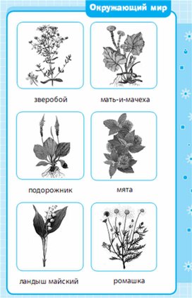 Обложка для материала Окружающий мир для 1-4 классов_схема_13