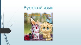 Презентация по русскому языку ПНШ