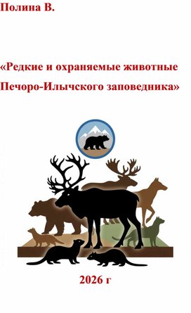 Обложка для материала «Редкие и охраняемые животные  Печоро Илычского заповедника»