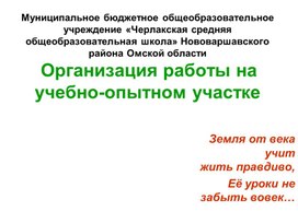 Презентация "Организация работы на пришкольном участке как средство экологического воспитания и профориентации школьников в условиях сельской школы"