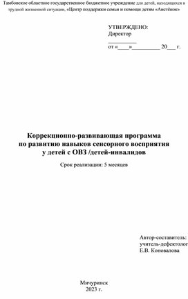 Коррекционно-развивающая программа по развитию навыков сенсорного восприятия у детей с ОВЗ /детей-инвалидов