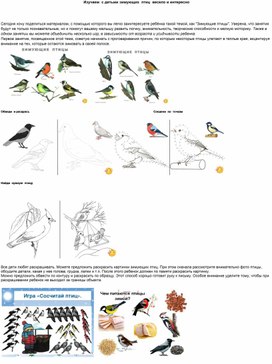 Изучаем  зимующих  птиц  весело  и интересно.