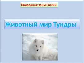 Обложка для материала 4 класс. Презентация Животный мир Тундры