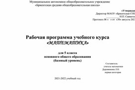 Рабочая программа по математике 5 класс к учебнику Дорофеев