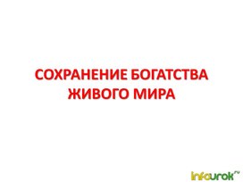 Обложка для материала Сохранения мира