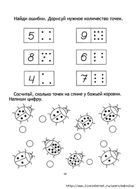 Сколько точек на спине  у божьей коровки