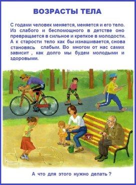 Обложка для материала возрасты тела