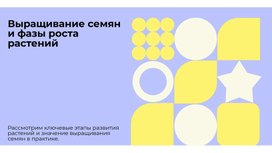Обложка для материала Выращивание семян и фазы роста растений