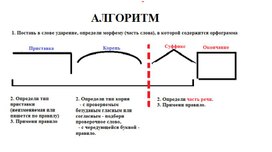 Система работы с орфограммой (из опыта работы)