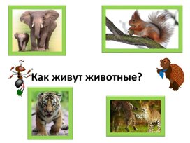 Обложка для материала Как живут животные?