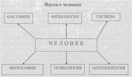 Материал к урокам  биологии