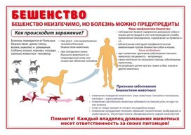 Обложка для материала бешенство