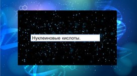 Нуклеиновые кислоты. Комплементарность.