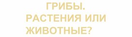 Презентация по биологии на тему "Грибы"