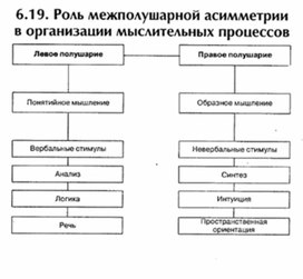 Обложка для материала материал по психофизиологии