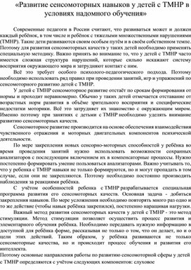 Развитие сенсомоторных навыков у детей с ТМНР в условиях надомного обучения.