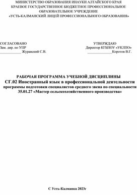 Рабочая программа по Иностранному в профессиональной деятельности