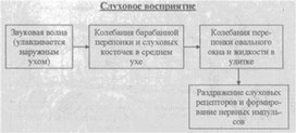 Материал к урокам  биологии