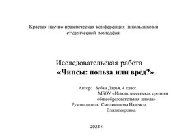 Обложка для материала Чипсы