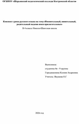 Обложка для материала Контрольный тест на тему  «Родительный, дательный, творительный и предложные падежи имен прилагательных женского рода в единственном числе»