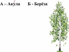 Обложка для материала Наглядный и речевой материал для индивидуальных занятий по РСВ и ФПСР