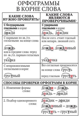 Обложка для материала орфограммы в корне слова