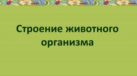 Презентация к уроку по теме: Строение животного организма