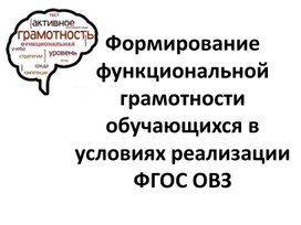 Педагогический совет по теме "Формирование функциональной грамотности обучающихся в условиях реализации ФГОС ОВЗ"