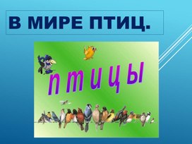 Презентация проекта "В мире птиц"