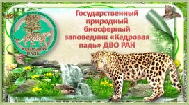 Заповедник Кедровая падь. Земноводные и пресмыкающиеся. Мир насекомых.