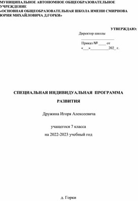 Специальная индивидуальная программа развития