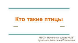 Обложка для материала Кто такие птицы?