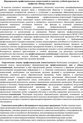 Формирование профессиональных компетенций на занятиях учебной практики по профессии «Повар, кондитер»