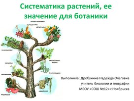 Презентация по биологии на тему "Систематика растений, ее значение для ботаники" (6 класс)