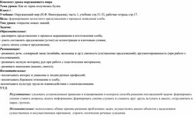 Конспект урока окружающего мира Тема урока: Как из зерна получилась булка