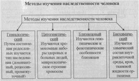 Материал к урокам  биологии