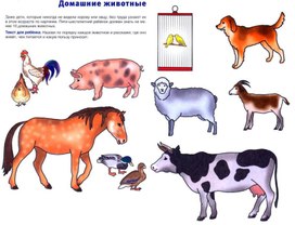 Обложка для материала домашние животные