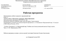 Рабочая программа по окружающему миру 4 класс Школа России