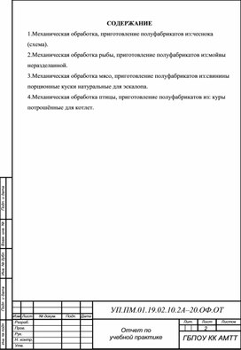 Обложка для материала Отчет о практике специальности 19.02.10.