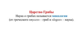 Обложка для материала Грибы. Лишайники