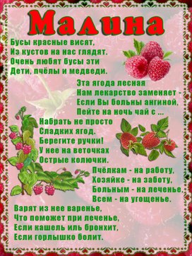 Обложка для материала малина