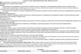 Конспект урока по окружающему миру "Органы чувств" 4 класс