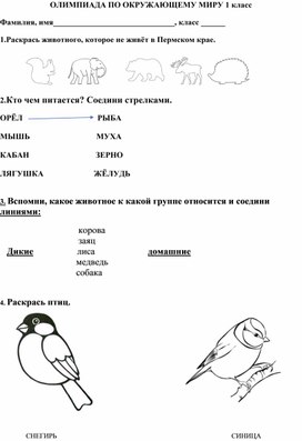 Олимпиада по окружающему миру . Первый класс .Школьный уровень