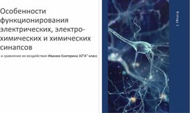 Особенности функционирования электрических, электро-химических и химических синапсов