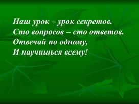 Презентация к уроку русского языка по теме: "Фразеологизмы"